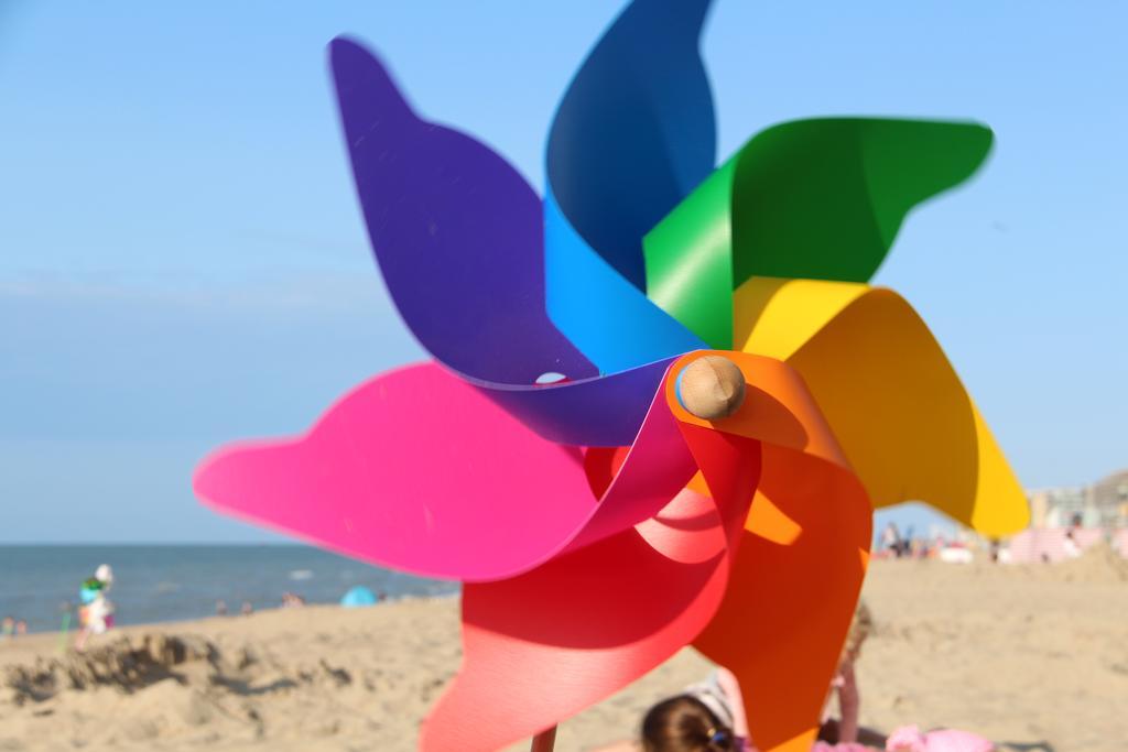 La Plage De Panne Cameră foto